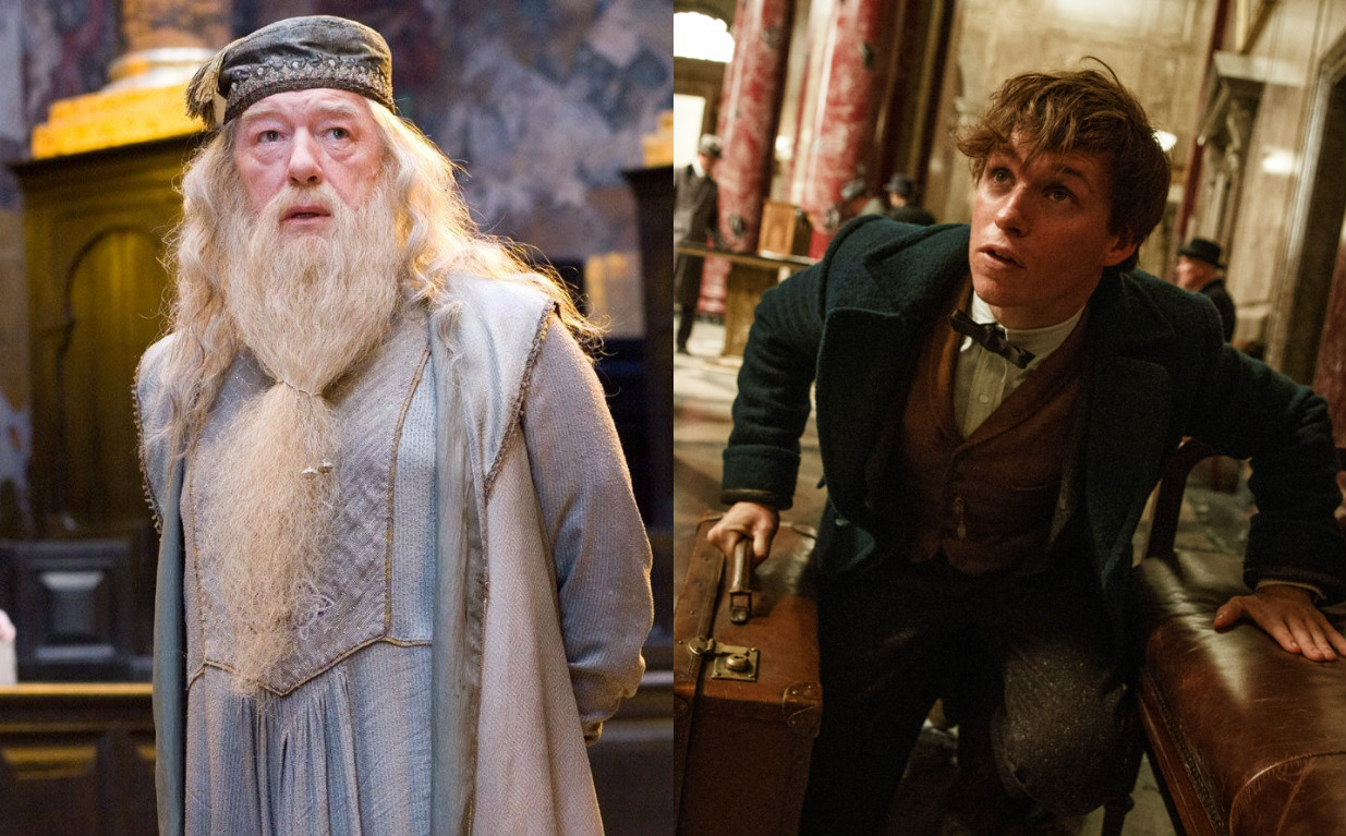 J.K. Rowling explica la relación entre Newt Scamander y Albus