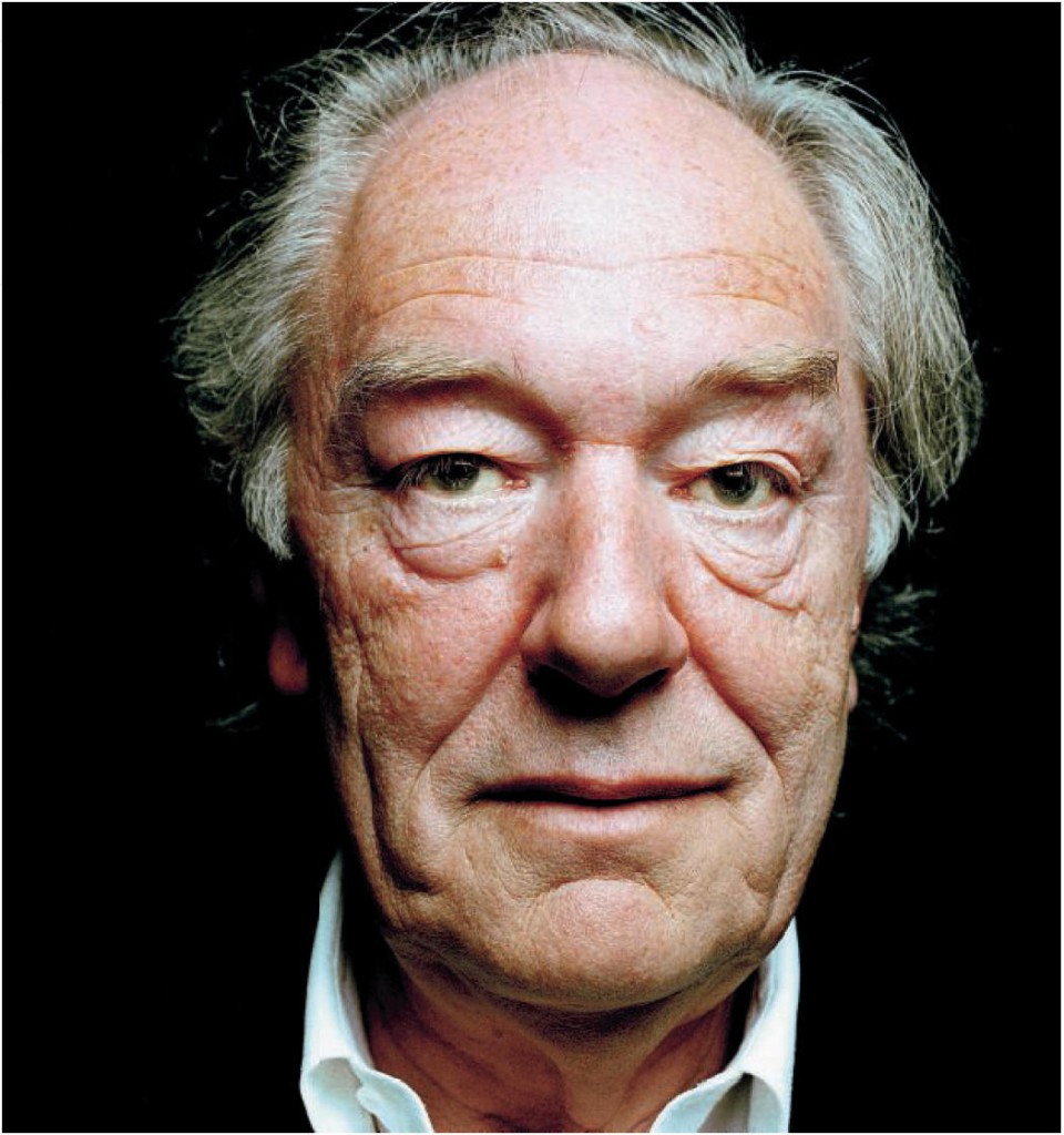  Michael Gambon