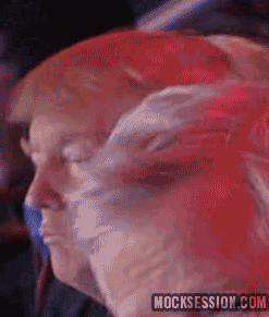 giphy_trump