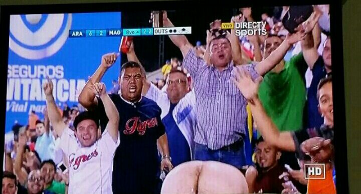 CULO_JUEGODELOSTIGRES