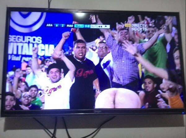 CULO_JUEGODELOSTIGRES5