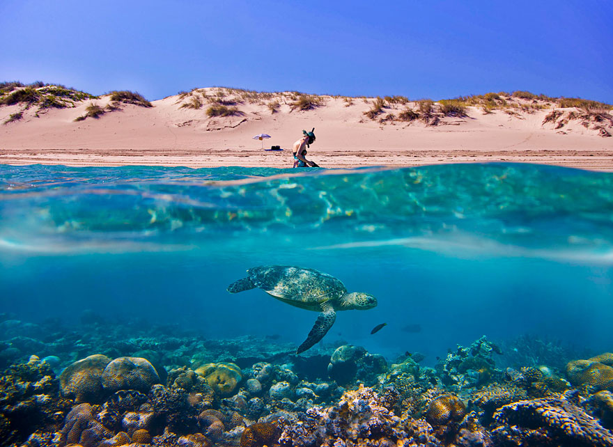 fotos-sobre-bajo-agua-6