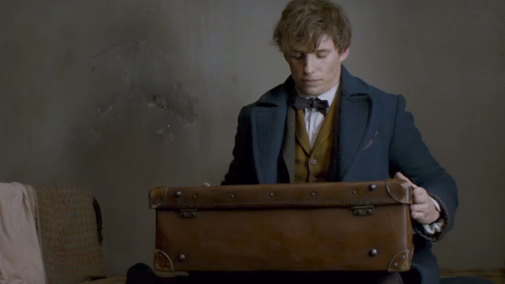 Eddie Redmayne ANIMALES 4