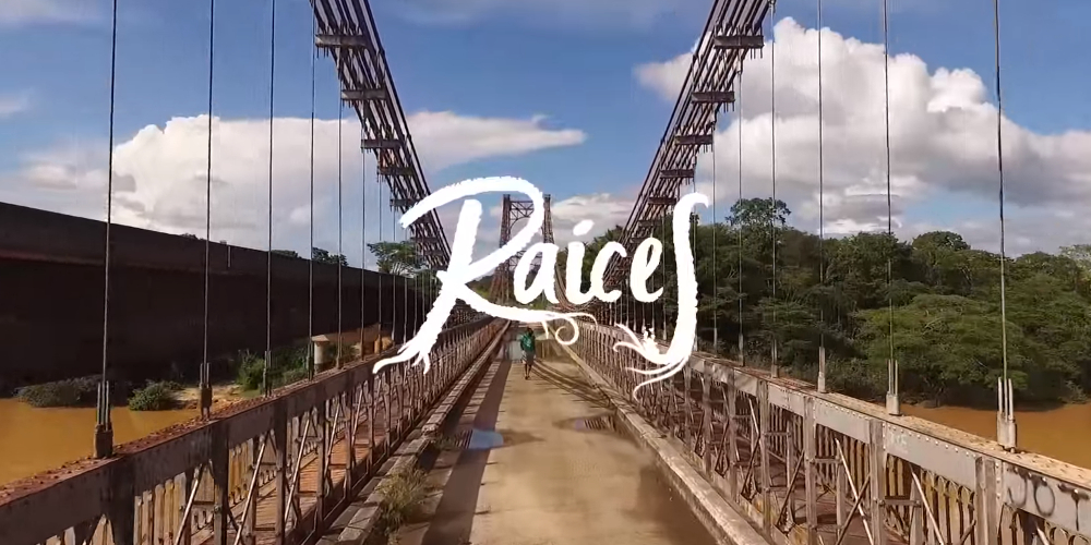 Gustavo_Casas_-_Raices