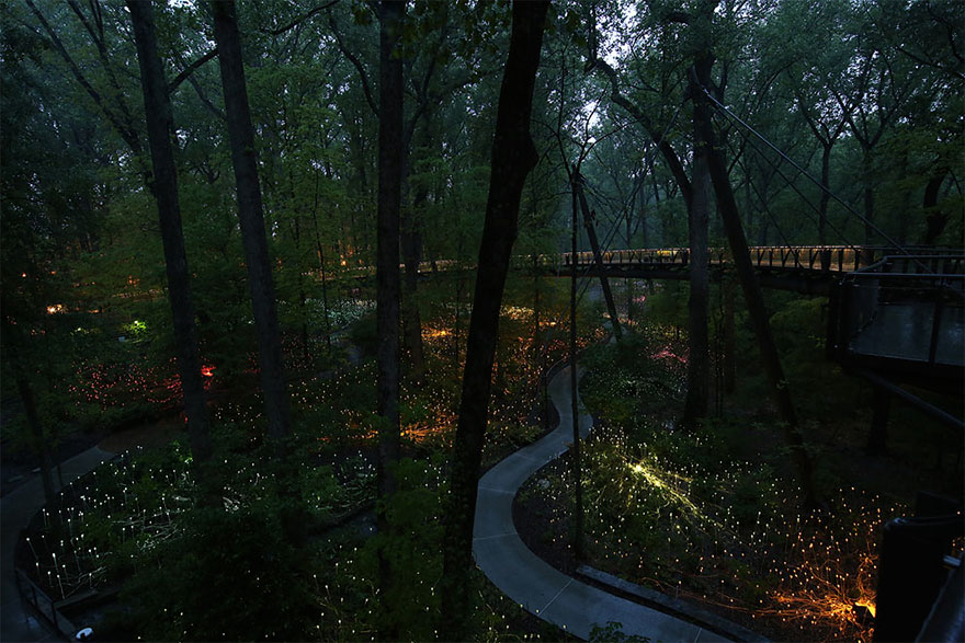 Jardín botánico de Atlanta, EEUU