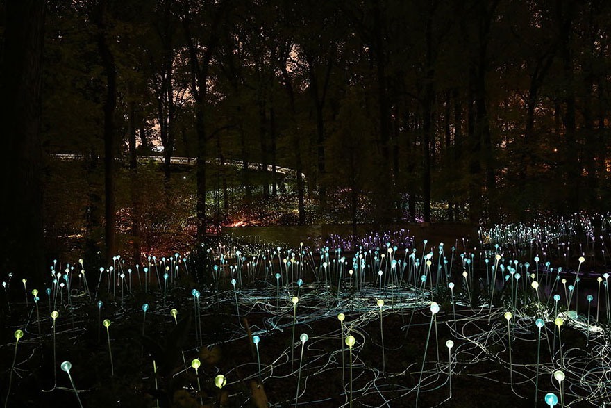 instalacion-luminica-campo-luz-bruce-munro-uluru-10