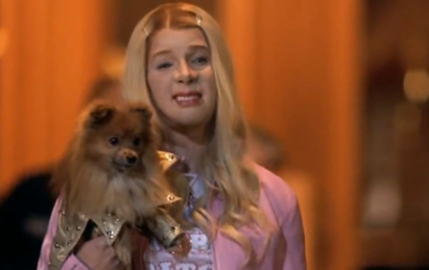 ydondeestanlasrubias4