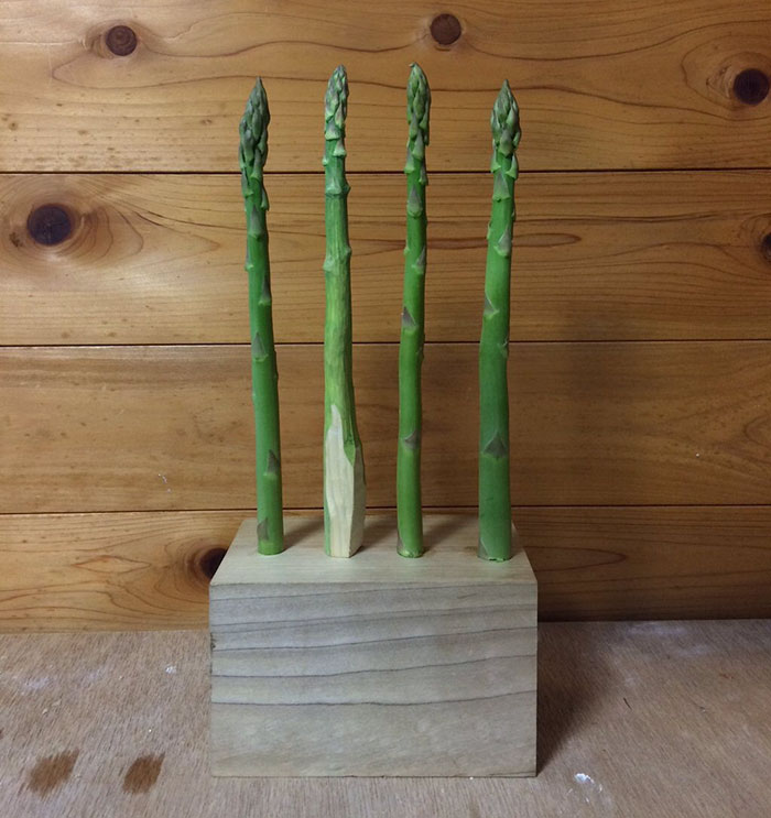 comida-realista-madera-seiji-kawasaki-16