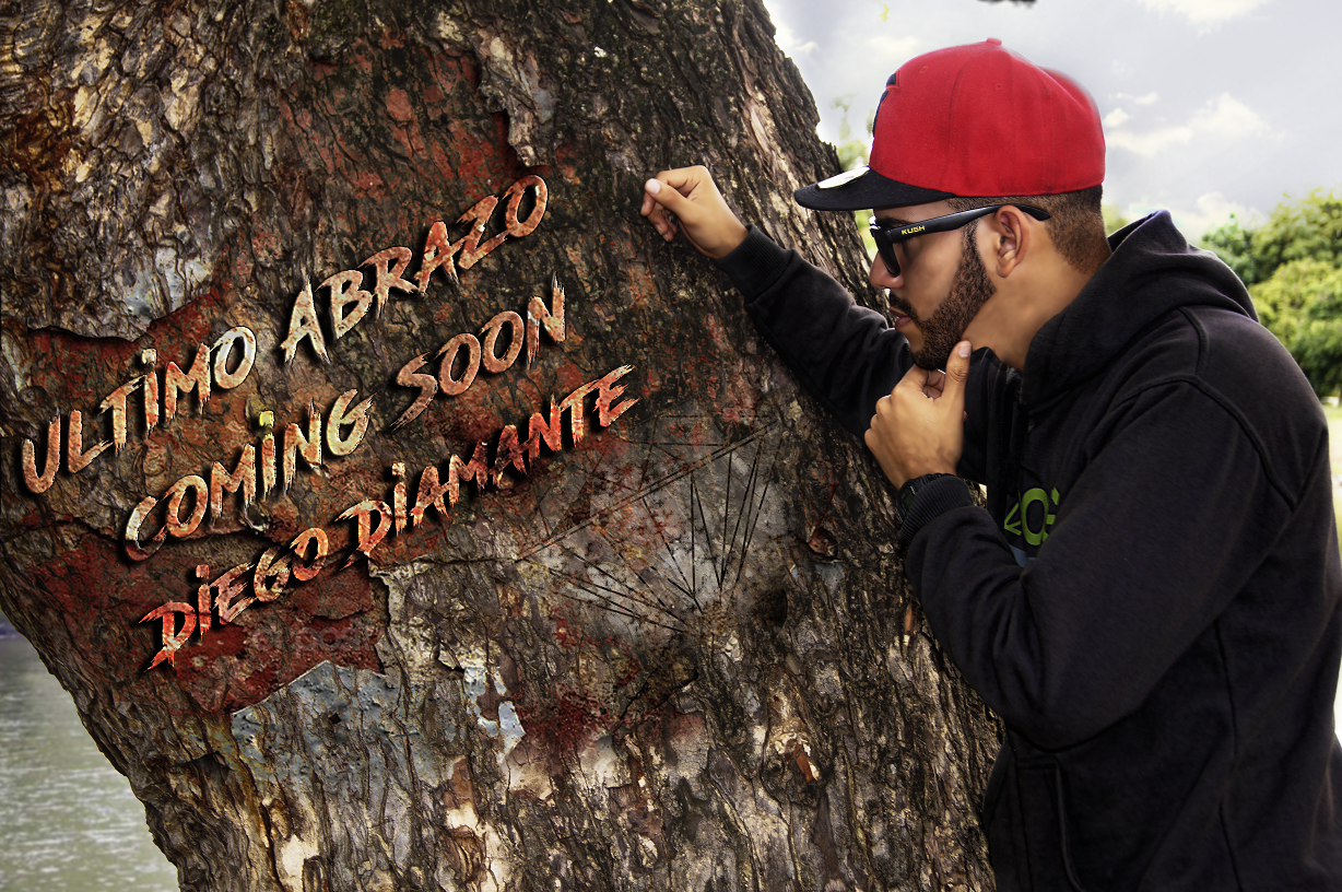 Diego Diamante Diseño Ultimo Abrazo 1