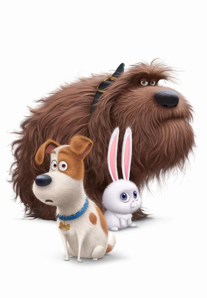 The Secret Life of Pets1