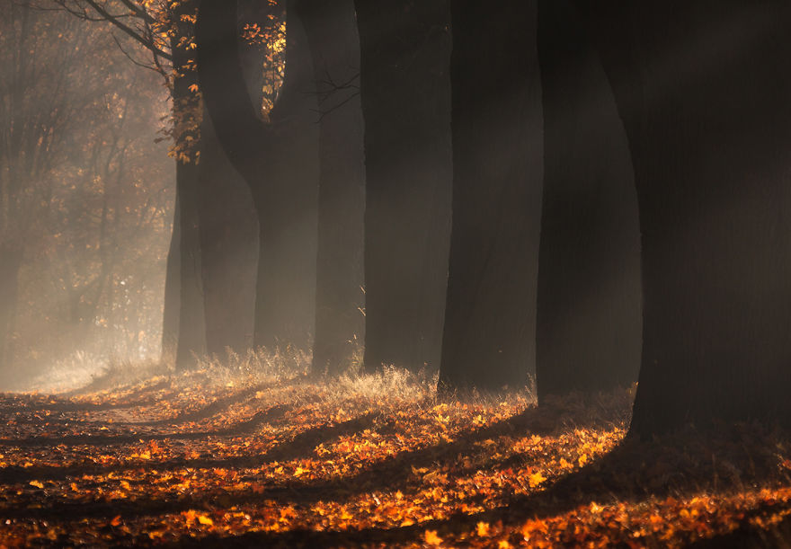 7_1200-58091412360c1__880