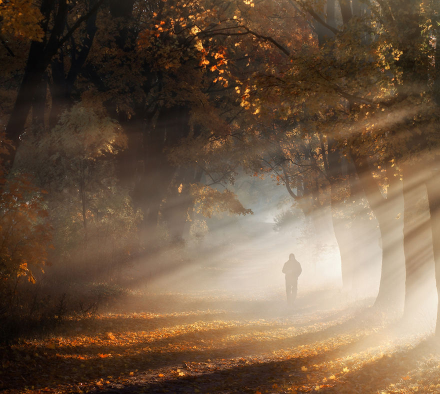 9_1200-5809143553af3__880