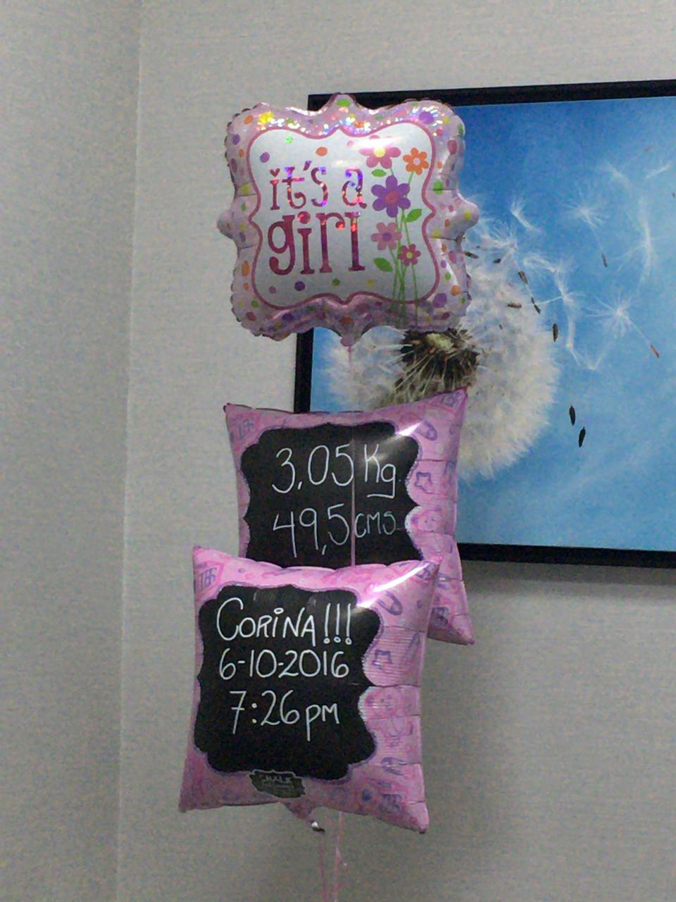 whatsapp-image-2016-10-07-at-10-34-09-am