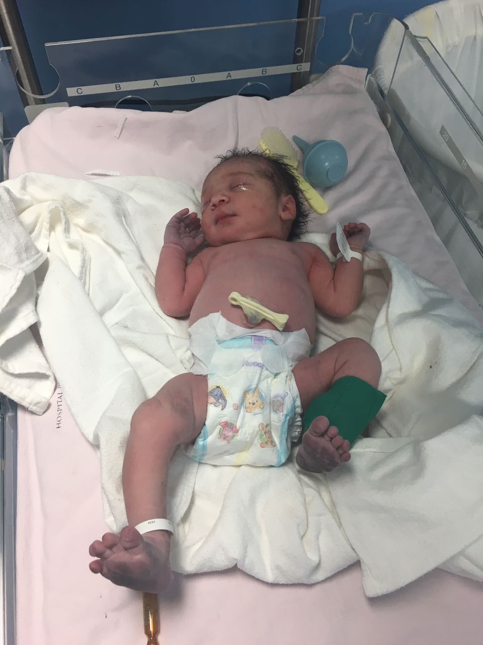 whatsapp-image-2016-10-07-at-10-34-10-am-1