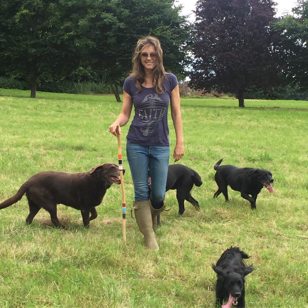 instagram-com-13694917_1124822110907923_1342555581_n