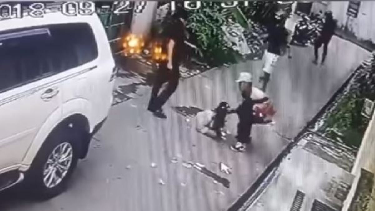 Ladrones patearon a niña de 8 años que intentó impedir un robo